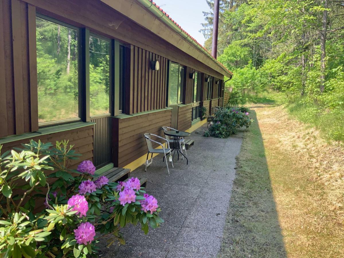 Skogsvikens Hotell Kolmården Zewnętrze zdjęcie